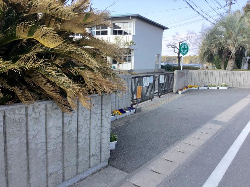 豊田小学校外観写真です