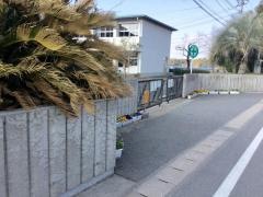 豊田小学校