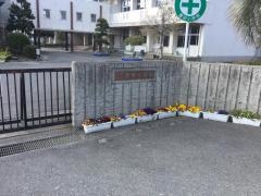 豊田小学校