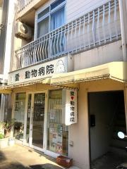 愛動物病院