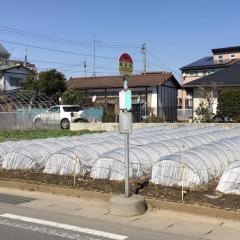 「番匠町」バス停留所