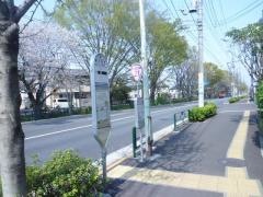 「柳沢団地」バス停留所