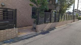 樫の実