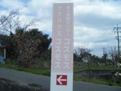 コスモス