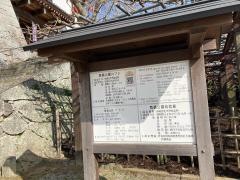 舞鶴公園