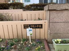 汐見小学校