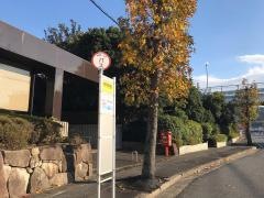 「柳井市役所前」バス停留所