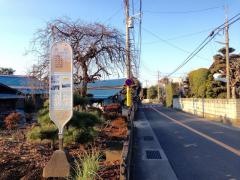 「逆川」バス停留所