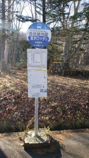 「森林植物園」バス停留所