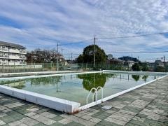 坂本市民プール