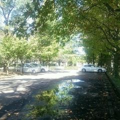 多布施川河畔公園