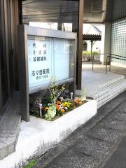 志々目医院