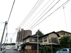 葵鮨