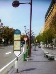 「市役所前」バス停留所