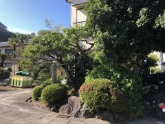 すずき治療院