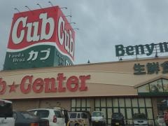 メガ大野店