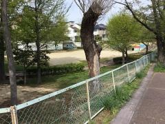 酒蓋緑道