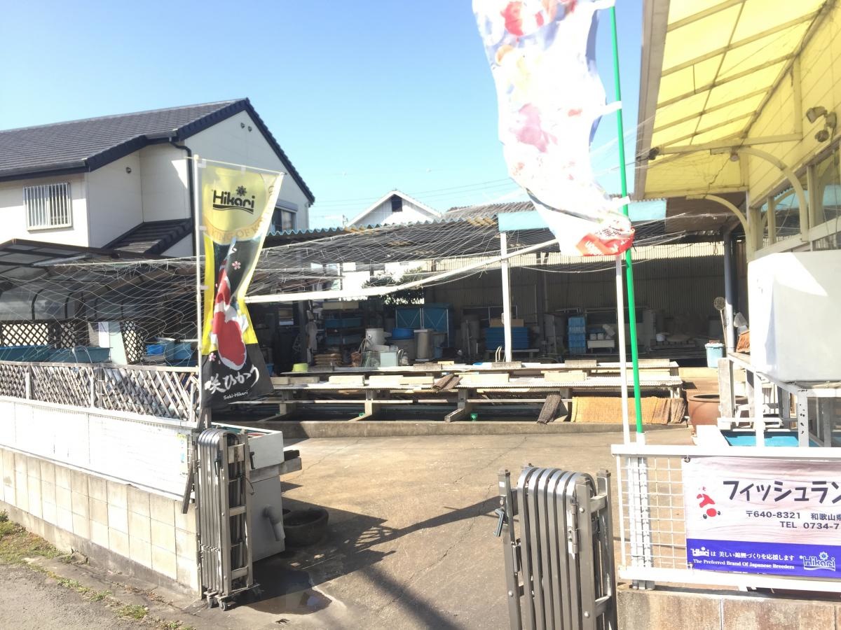 フィッシュランド遊魚館