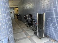 新富歯科