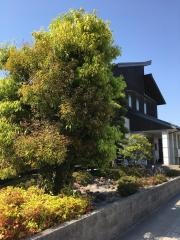 鶴田歯科医院