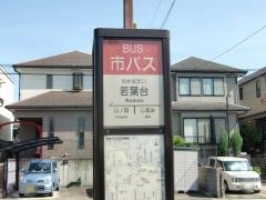 「若葉台」バス停留所