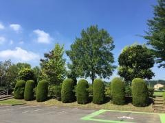 ゆうき公園