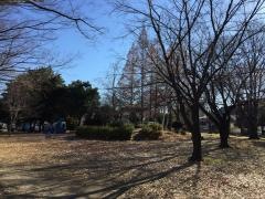 さくら公園