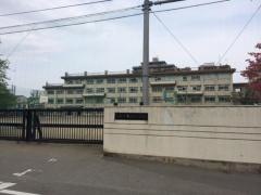 中央小学校