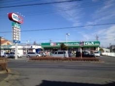 ドラッグセイムス　羽生店