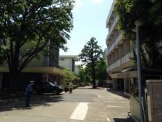 桐朋学園芸術短期大学