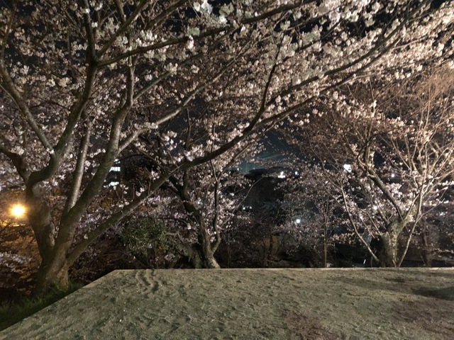 施設写真31