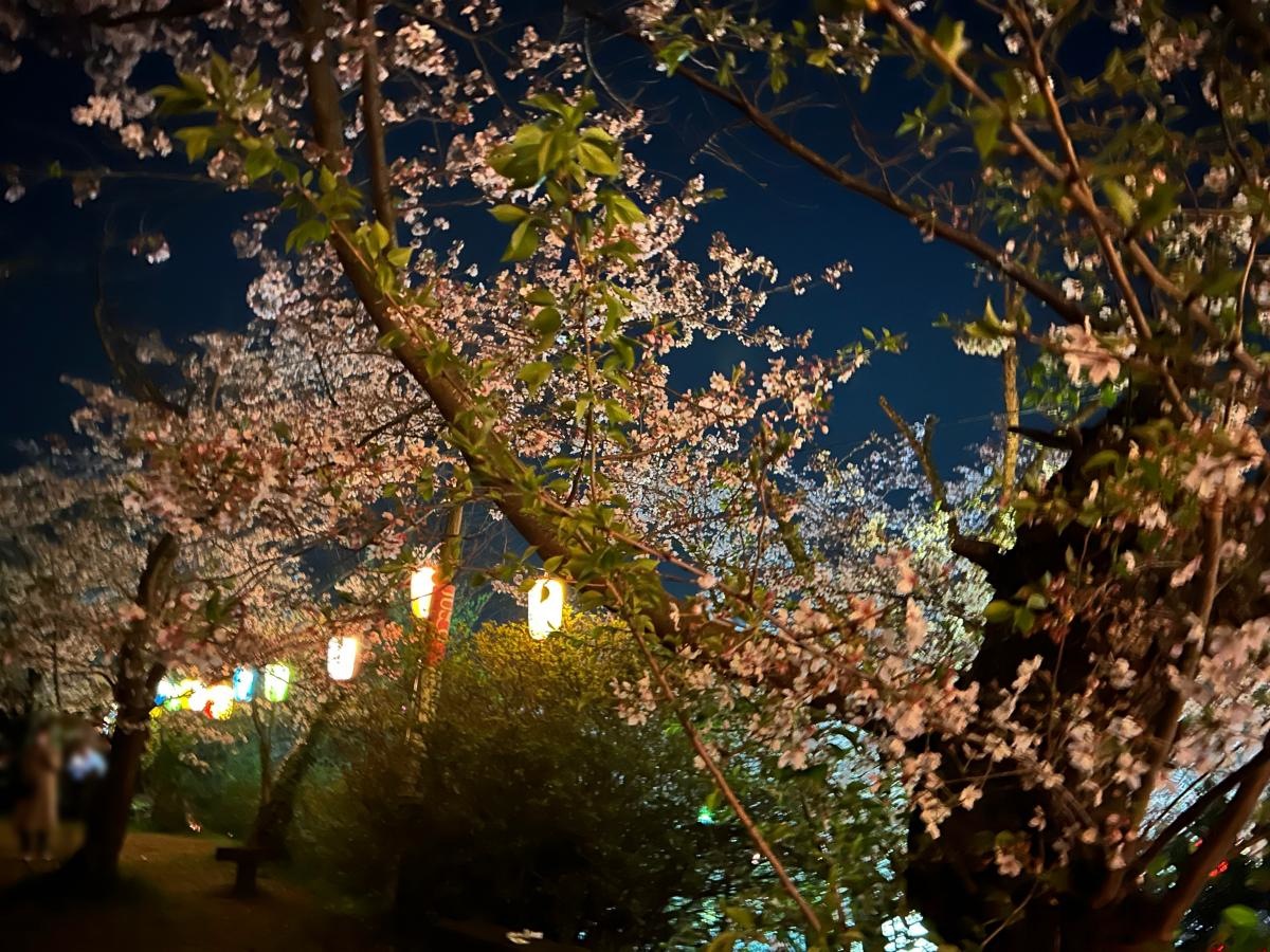 勝盛公園敷地内の写真