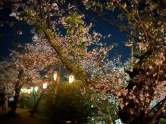 勝盛公園