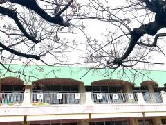 真砂保育園