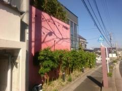 ジャスミン