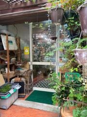 ワイルドスカイ