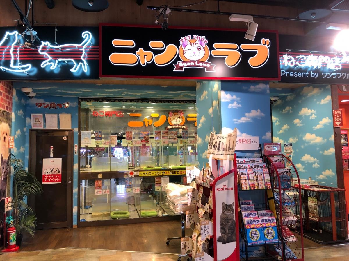 ワンラブ