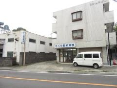 さくら動物病院