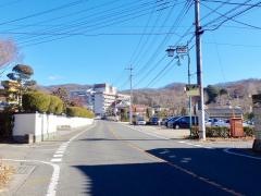 藪塚温泉