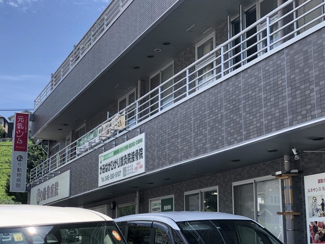 洋光台