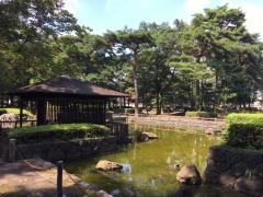 富士山公園
