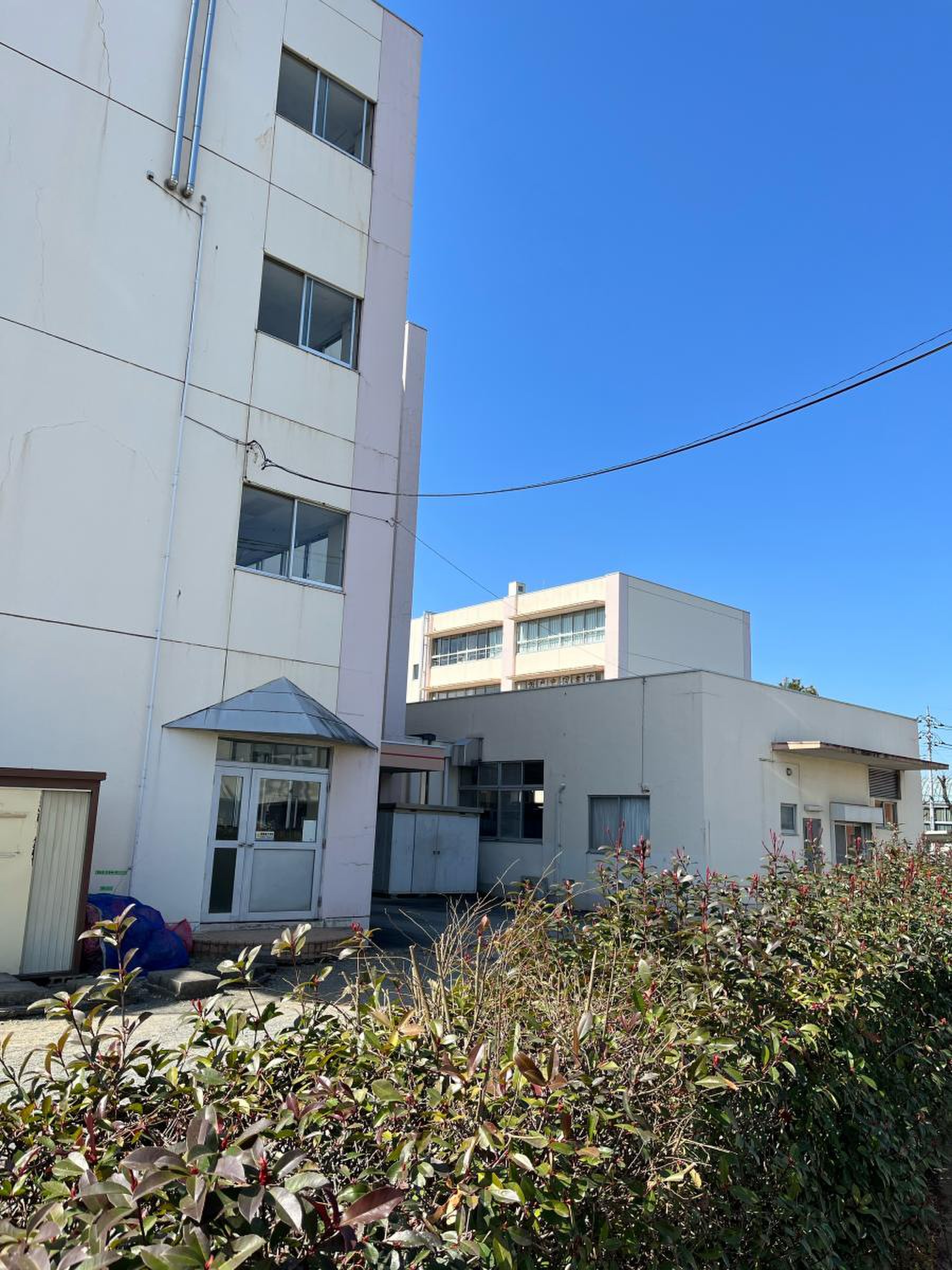 公の場での発言・インタビュー報道記録
