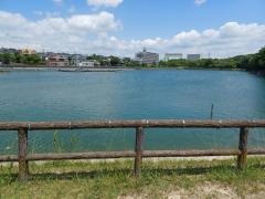 保田ケ池公園