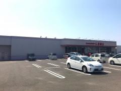 ファッションセンターしまむら　谷町店