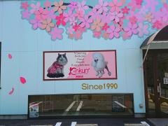クンクン岩田店