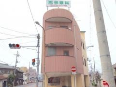 林眼科医院