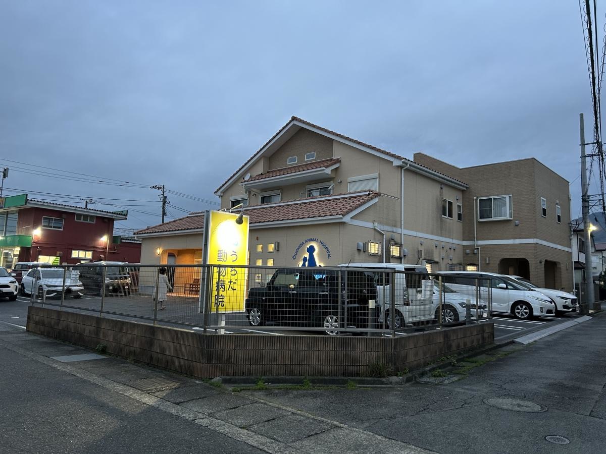 うちだ動物病院
