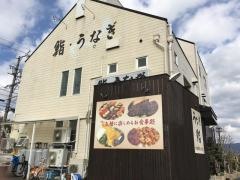 鯛将