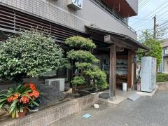 そば光