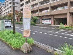 「センター前(緑区)」バス停留所